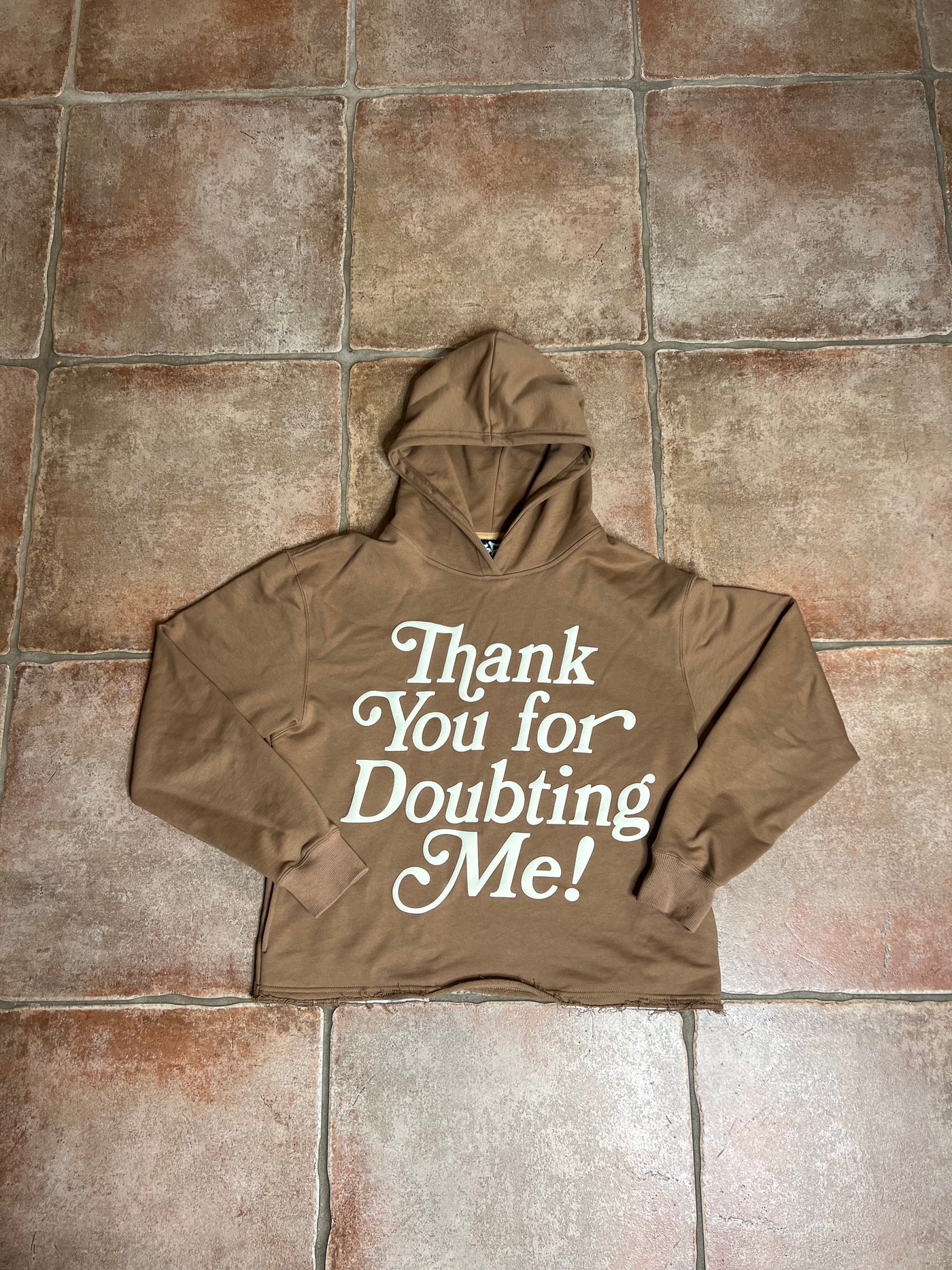 THANK YOU FOR DOUBTING ME HOODIE (BROWN)